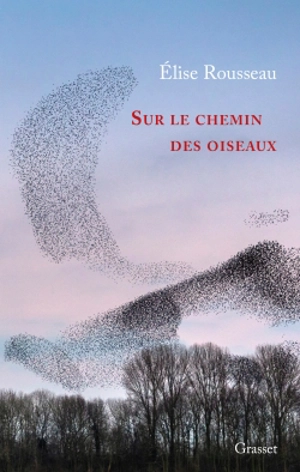 Sur le chemin des oiseaux - Elise Rousseau