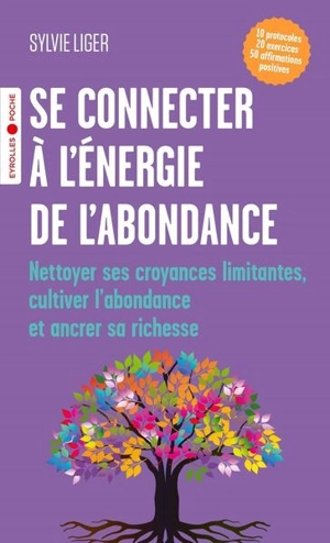 Se connecter à l'énergie de l'abondance : nettoyer ses croyances limitantes, cultiver l'abondance et ancrer sa richesse - Sylvie Liger