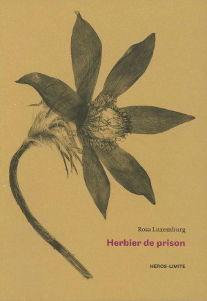 Herbier de prison (1915-1918) - Rosa Luxemburg