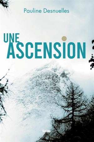 Une ascension - Pauline Desnuelles