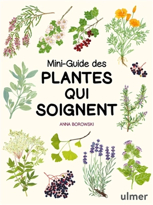 Mini-guide des plantes qui soignent - Anna Borowski