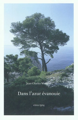 Dans l'azur évanouie - Jean-Charles Wolfarth