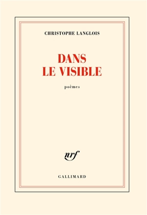 Dans le visible : poèmes - Christophe Langlois