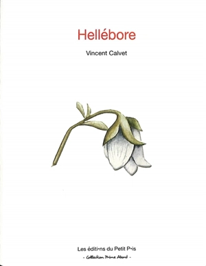 Hellébore - Vincent Calvet