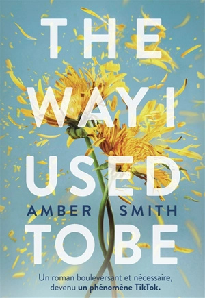 The way I used to be - Amber Smith