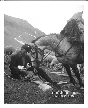 La transhumance de Marcel Cohen : une manière d'habiter le monde - Marcel Cohen