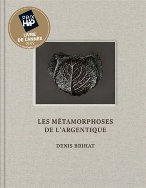 Les métamorphoses de l'argentique - Denis Brihat