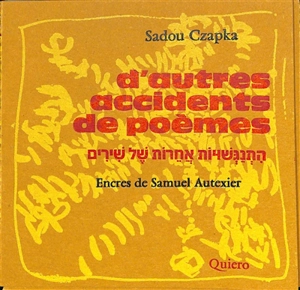 D'autres accidents de poèmes - Sadou Czapka