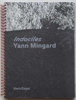 Indociles - Yann Mingard