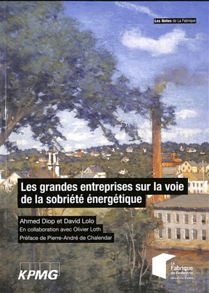 Les grandes entreprises sur la voie de la sobriété énergétique - Ahmed Diop