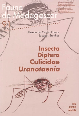 Insecta diptera culicidae Uranotaenia - Helena da Cunha Ramos