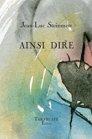 Ainsi dire - Jean-Luc Steinmetz