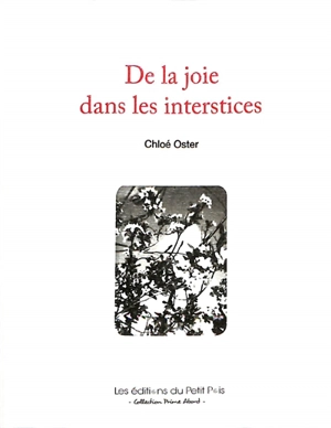 De la joie dans les interstices - Chloé Oster