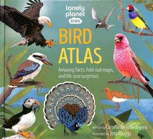 Bird atlas : amazing facts, fold-out maps, and life-size surprises - Camilla De la Bedoyere