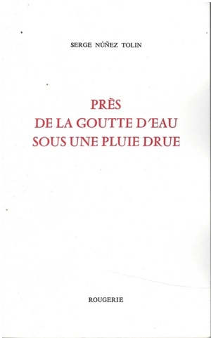 Près de la goutte d'eau sous une pluie drue - Serge Nunez Tolin