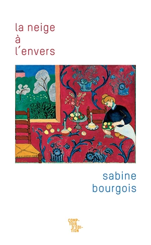 La neige à l'envers - Sabine Bourgois