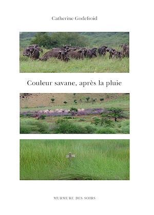 Couleur savane, après la pluie - Catherine Godefroid