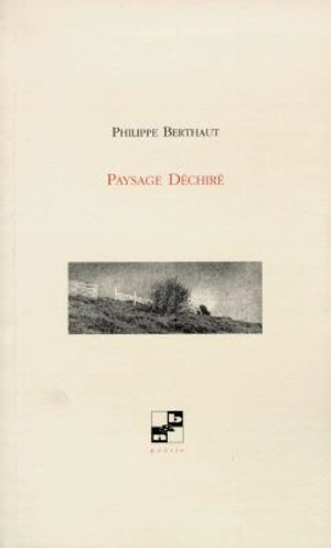 Paysage déchiré - Philippe Berthaut