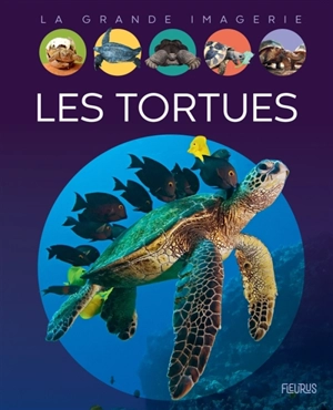 Les tortues - Sabine Boccador
