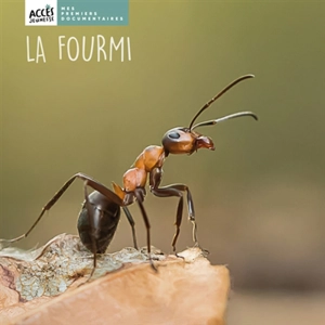 La fourmi - Léa Schneider