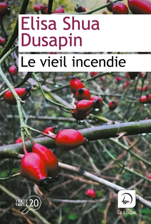 Le vieil incendie - Elisa Shua Dusapin