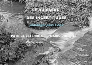 Le ruisseau des incertitudes : plaidoyer pour l'eau - Patrice Leterrier