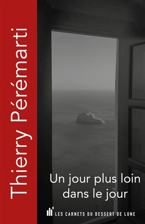 Un jour plus loin dans le jour - Thierry Pérémarti