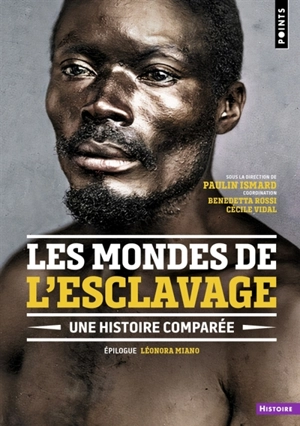Les mondes de l'esclavage : une histoire comparée - Claude Chevaleyre