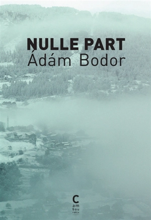 Nulle part. La section - Adam Bodor