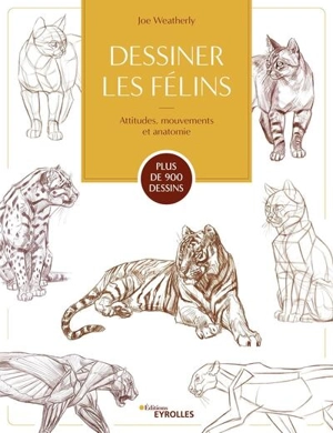 Dessiner les félins : attitudes, mouvements et anatomie : plus de 900 dessins - Joe Weatherly