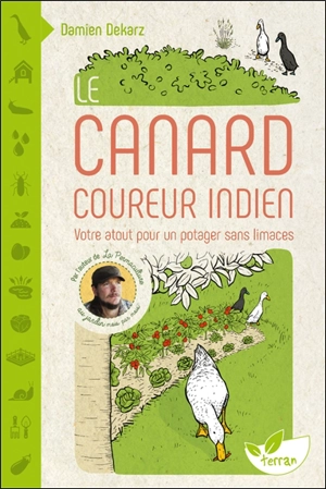 Le canard coureur indien : votre atout pour un potager sans limaces - Damien Dekarz