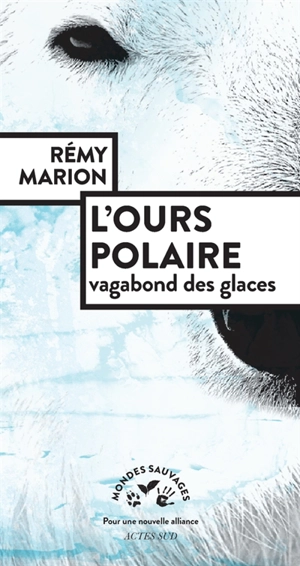 L'ours polaire : vagabond des glaces - Rémy Marion