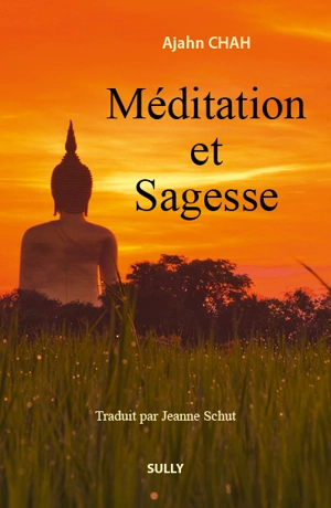 Les enseignements d'un maître bouddhiste de la tradition de la forêt. Méditation et sagesse - Achaan Chah