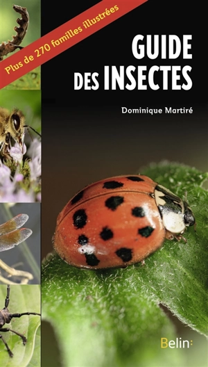 Guide des insectes : plus de 270 familles illustrées - Dominique Martiré