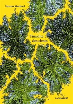 Timidité des cimes - Maxence Marchand