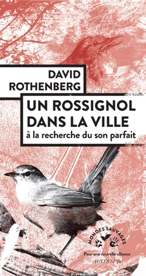 Un rossignol dans la ville : à la recherche du son parfait - David Rothenberg