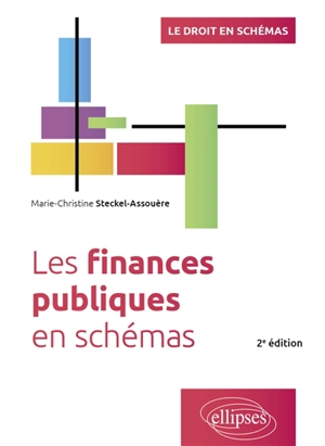 Les finances publiques en schémas - Marie-Christine Steckel-Assouère