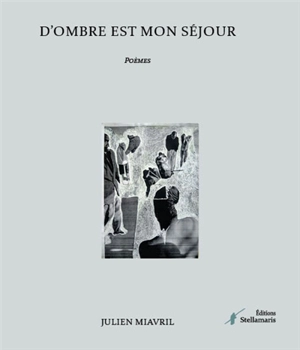 D'ombre est mon séjour - Julien Miavril