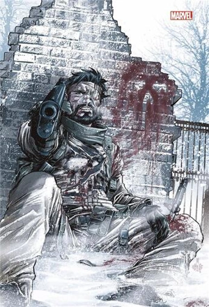 The Punisher. Vol. 1. Retour sanglant - Greg Rucka