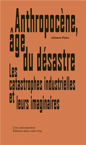 Anthropocène, âge du désastre : les catastrophes industrielles et leurs imaginaires - Alfonso Pinto