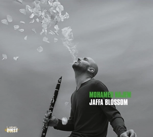 Jaffa Blossom - Mohamed Najem