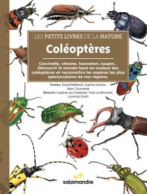 Coléoptères : coccinelles, hannetons, carabes, longicornes... : découvrir le monde haut en couleur des coléoptères et reconnaître les espèces les plus spectaculaires de nos régions - David Melbeck