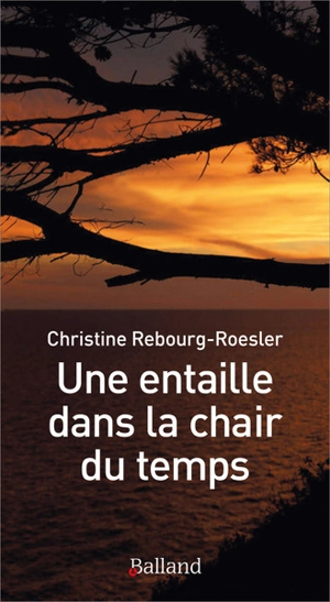 Une entaille dans la chair du temps - Christine Rebourg-Roesler
