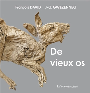 De vieux os - David François