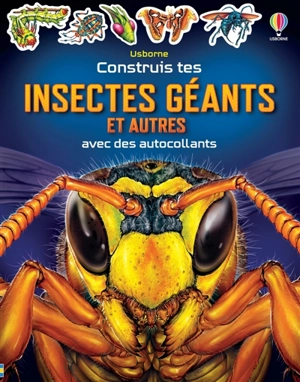 Construis tes Insectes géants et autres avec des autocollants : Dès 5 ans - Smith, Sam