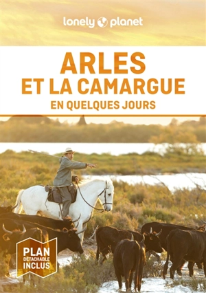 Arles et la Camargue en quelques jours - Caroline Delabroy