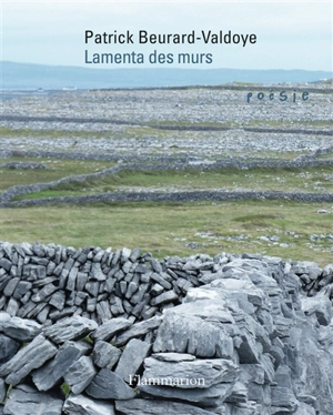 Lamenta des murs - Patrick Beurard-Valdoye