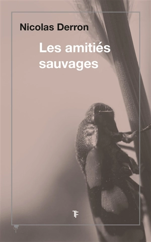 Les amitiés sauvages - Nicolas Derron