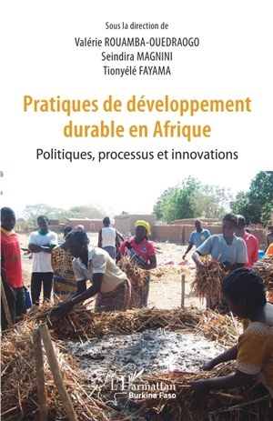 Pratiques de développement durable en Afrique : politiques, processus et innovations