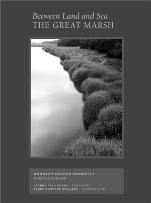 Between Land and Sea : The Great Marsh, Photographs by Dorothy Kerper Monnelly - Dorothy Kerper Monnelly